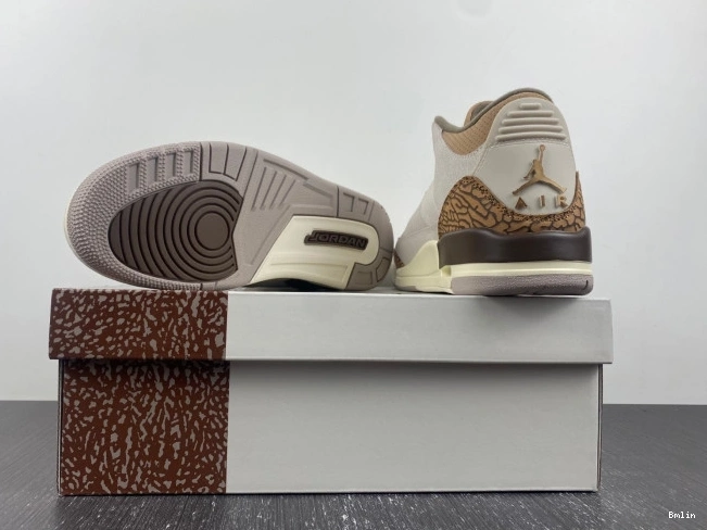 Bmlin Palomino 3 Air Jordan CT8532-102 0821